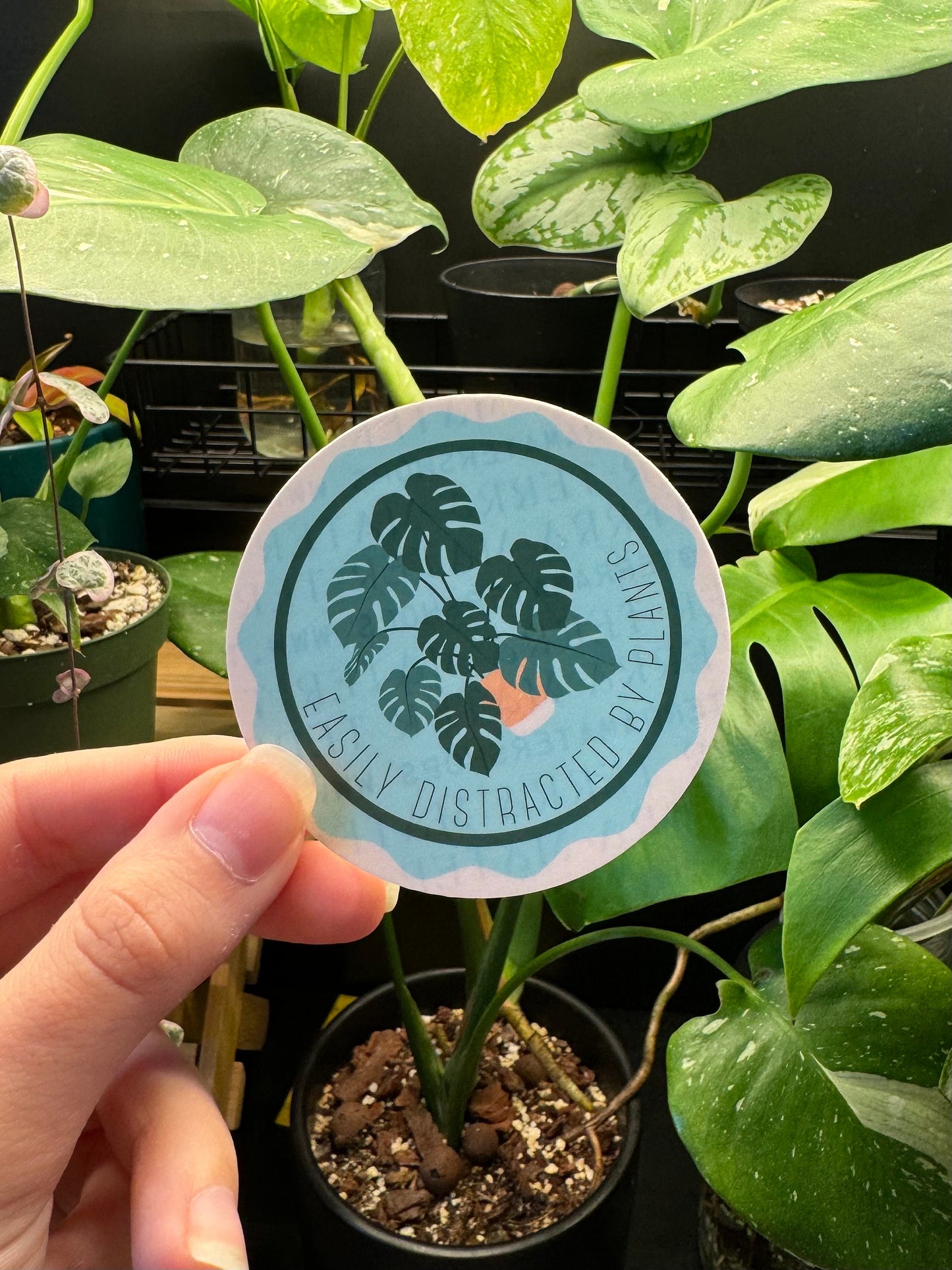 Easily Distracted by Plants Vinyl Sticker