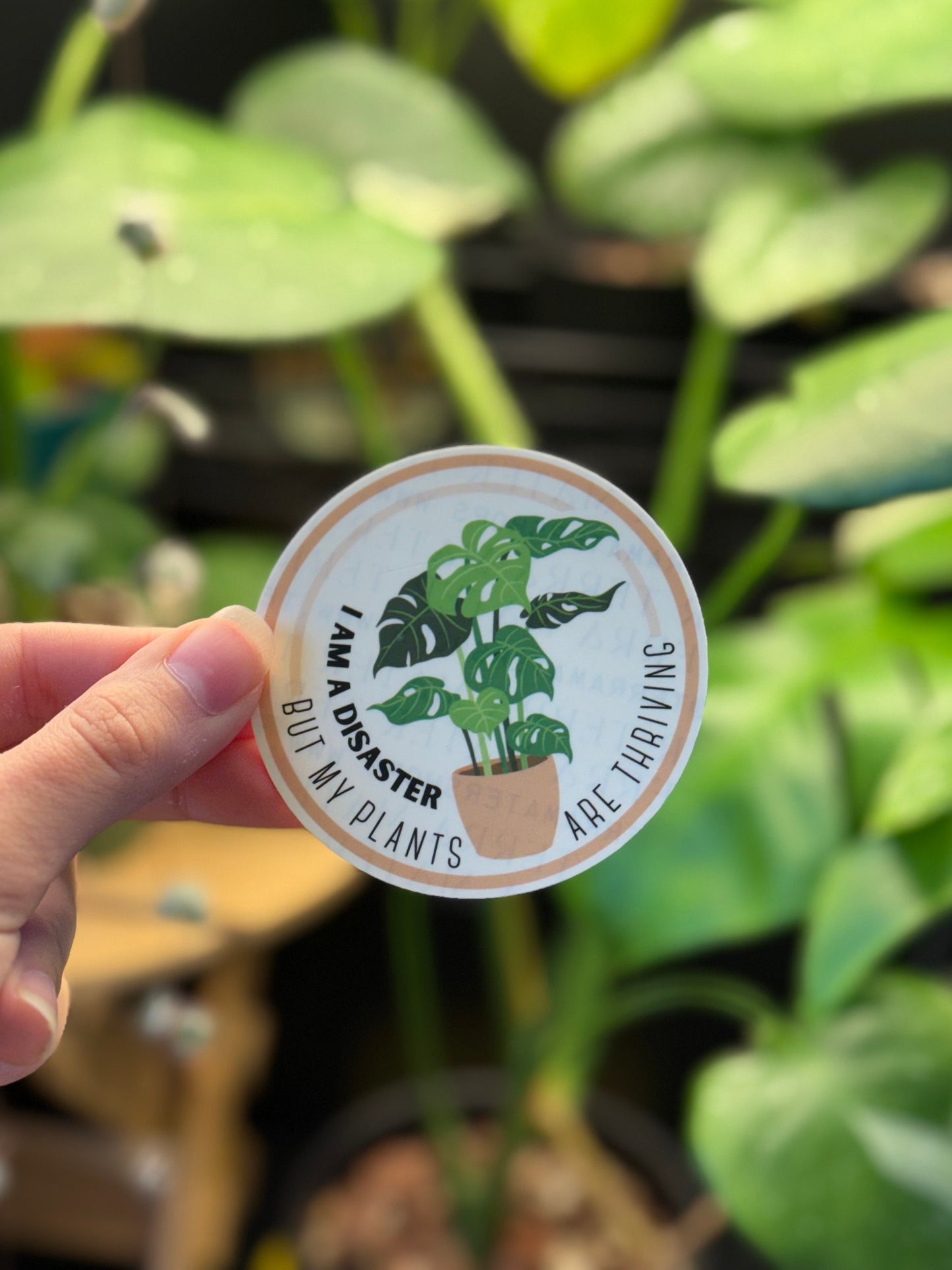 'I Am a Disaster but my Plants are Thriving' Vinyl Sticker