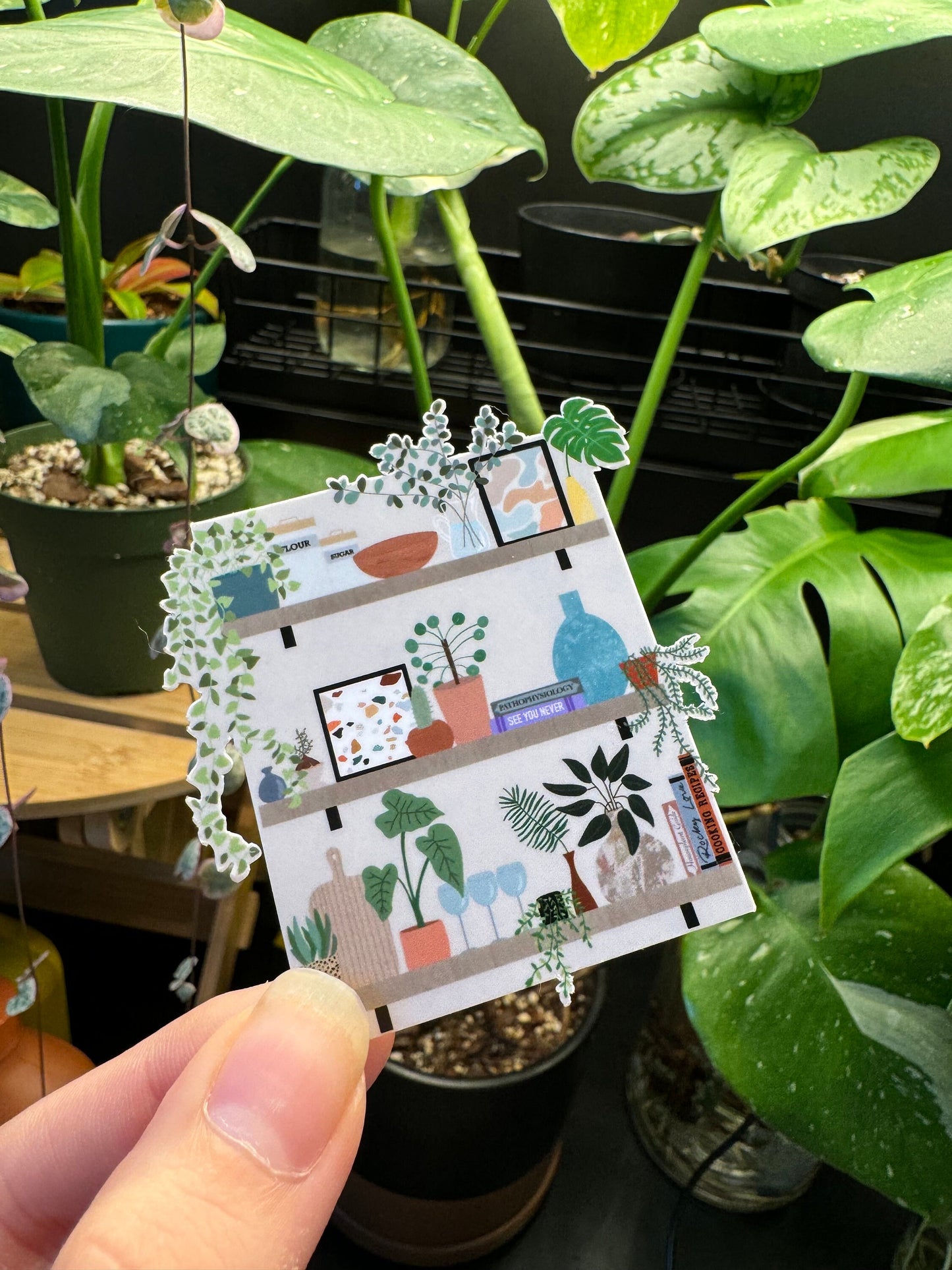 Houseplant Aesthetic Shelf Vinyl Sticker