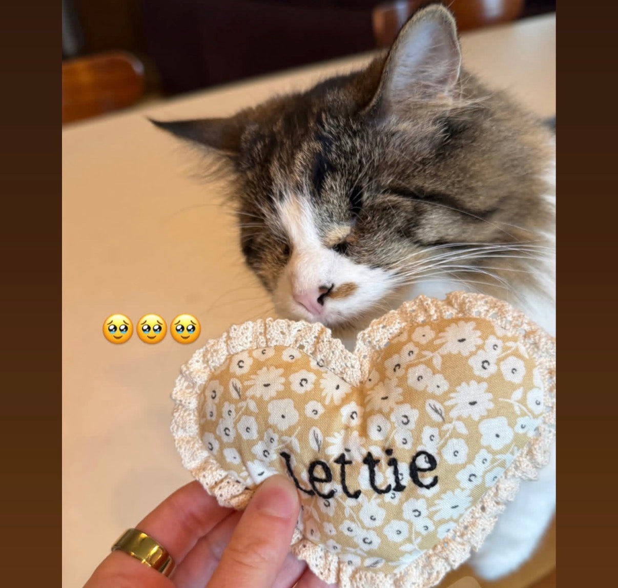 Heirloom Heart Pillow Custom Embroidery Cat Toy