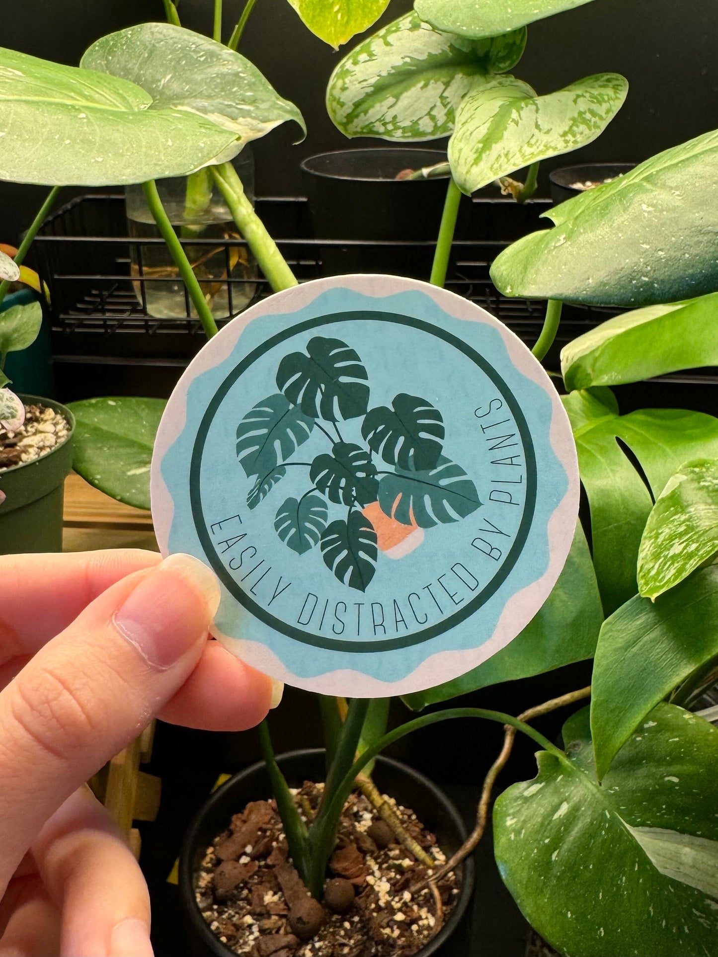 Easily Distracted by Plants Vinyl Sticker