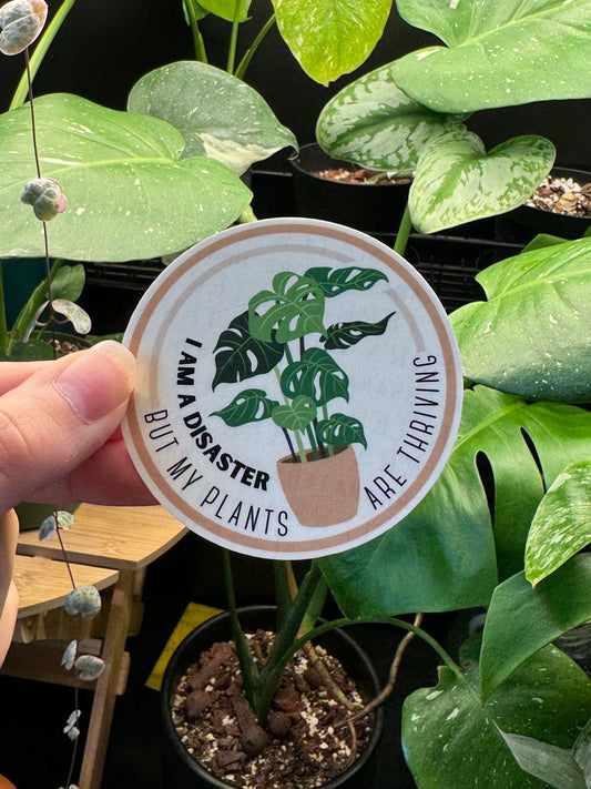 'I Am a Disaster but my Plants are Thriving' Vinyl Sticker