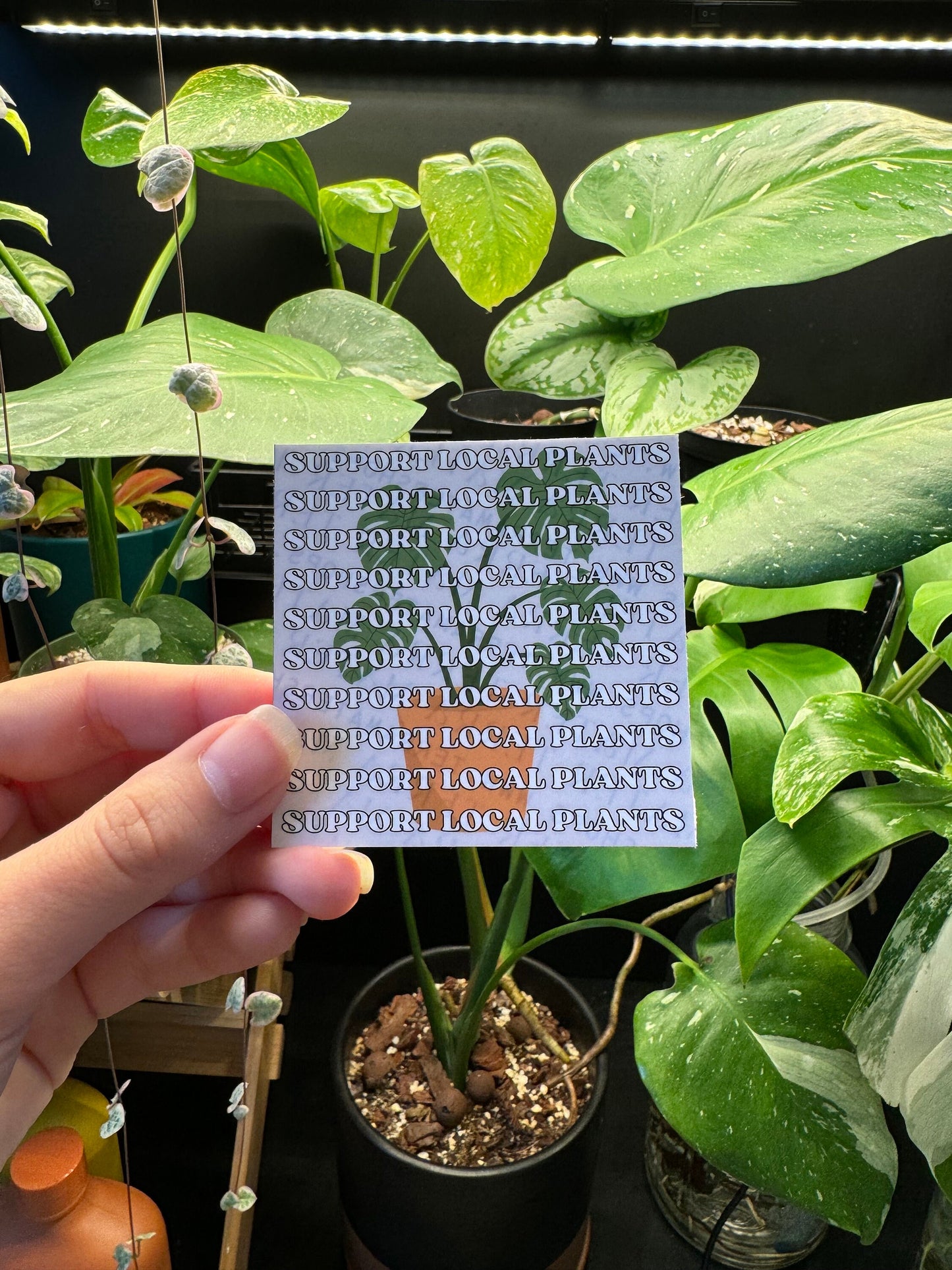 Support Local Plants Vinyl Sticker