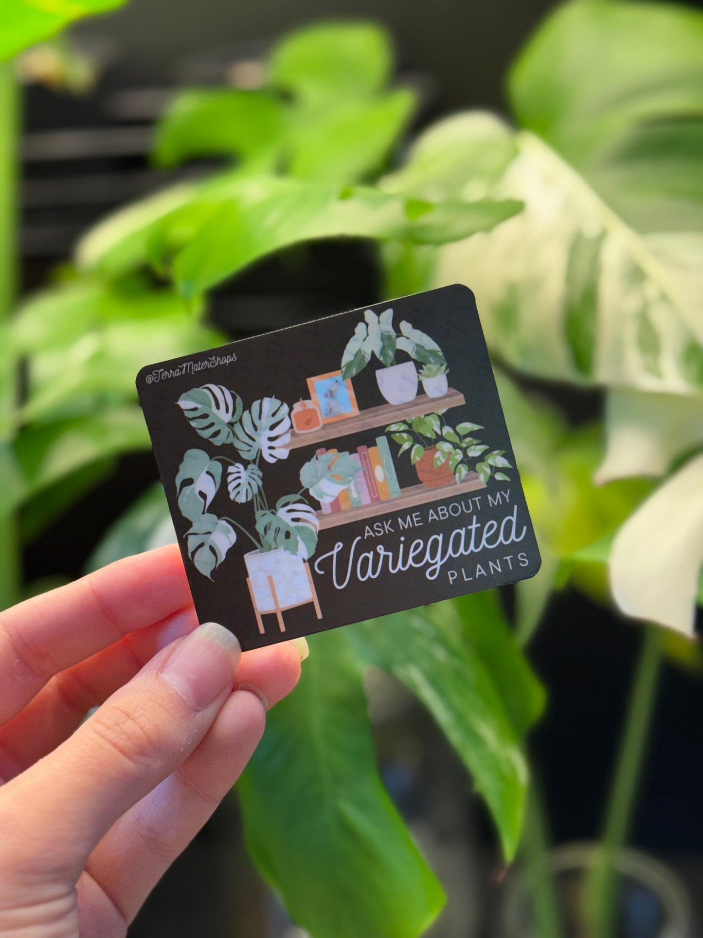 'Ask Me About My Variegated Plants' Vinyl Waterproof Sticker