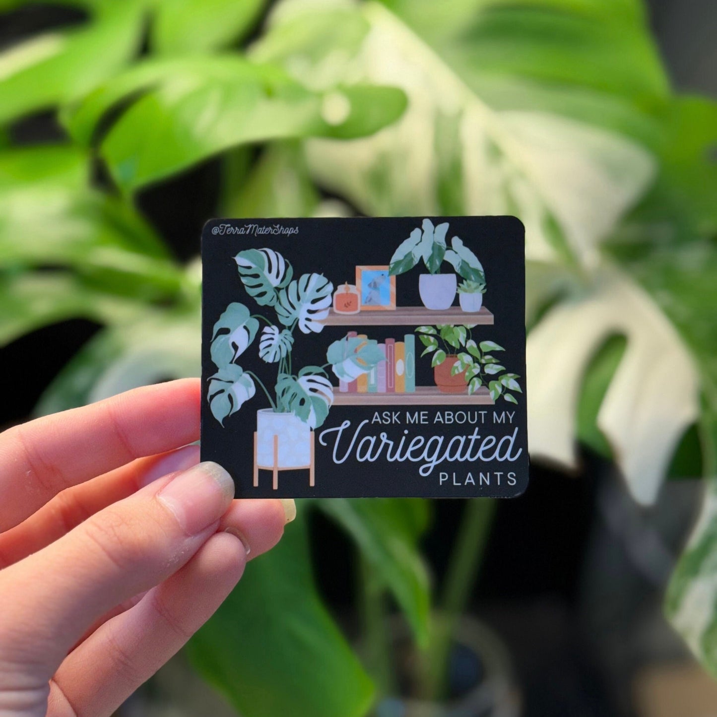 'Ask Me About My Variegated Plants' Vinyl Waterproof Sticker