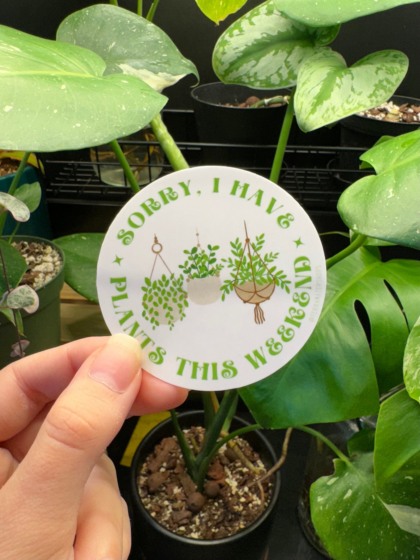 'Sorry I Have Plants This Weekend' Houseplant Lover Vinyl Sticker