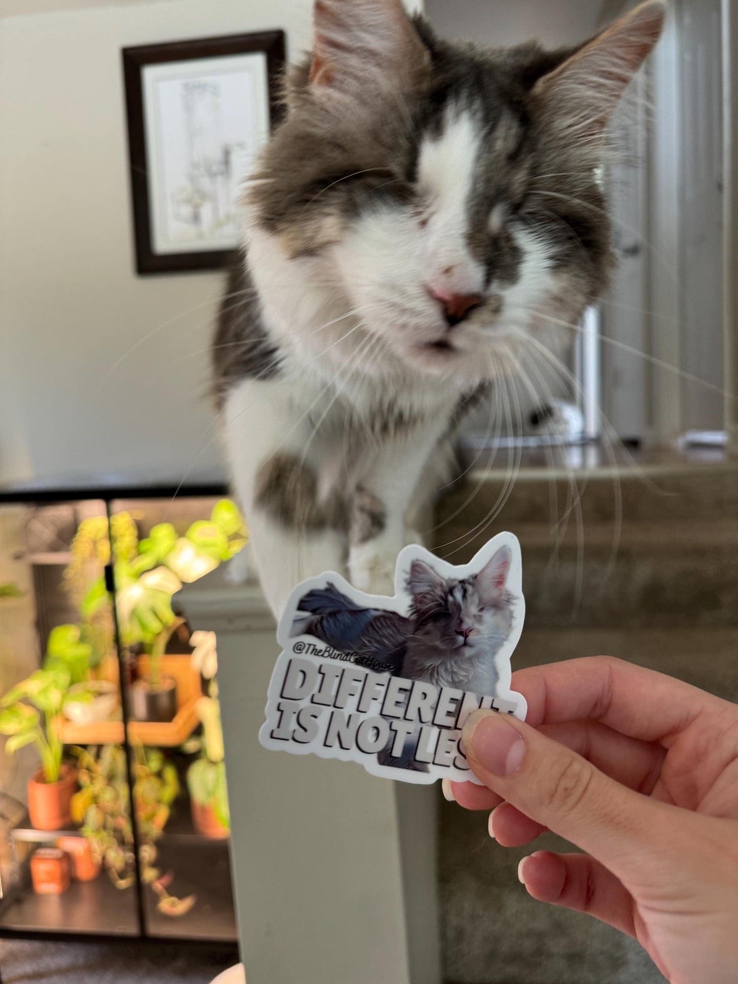 The Blind Cat House Exclusive Support Sticker