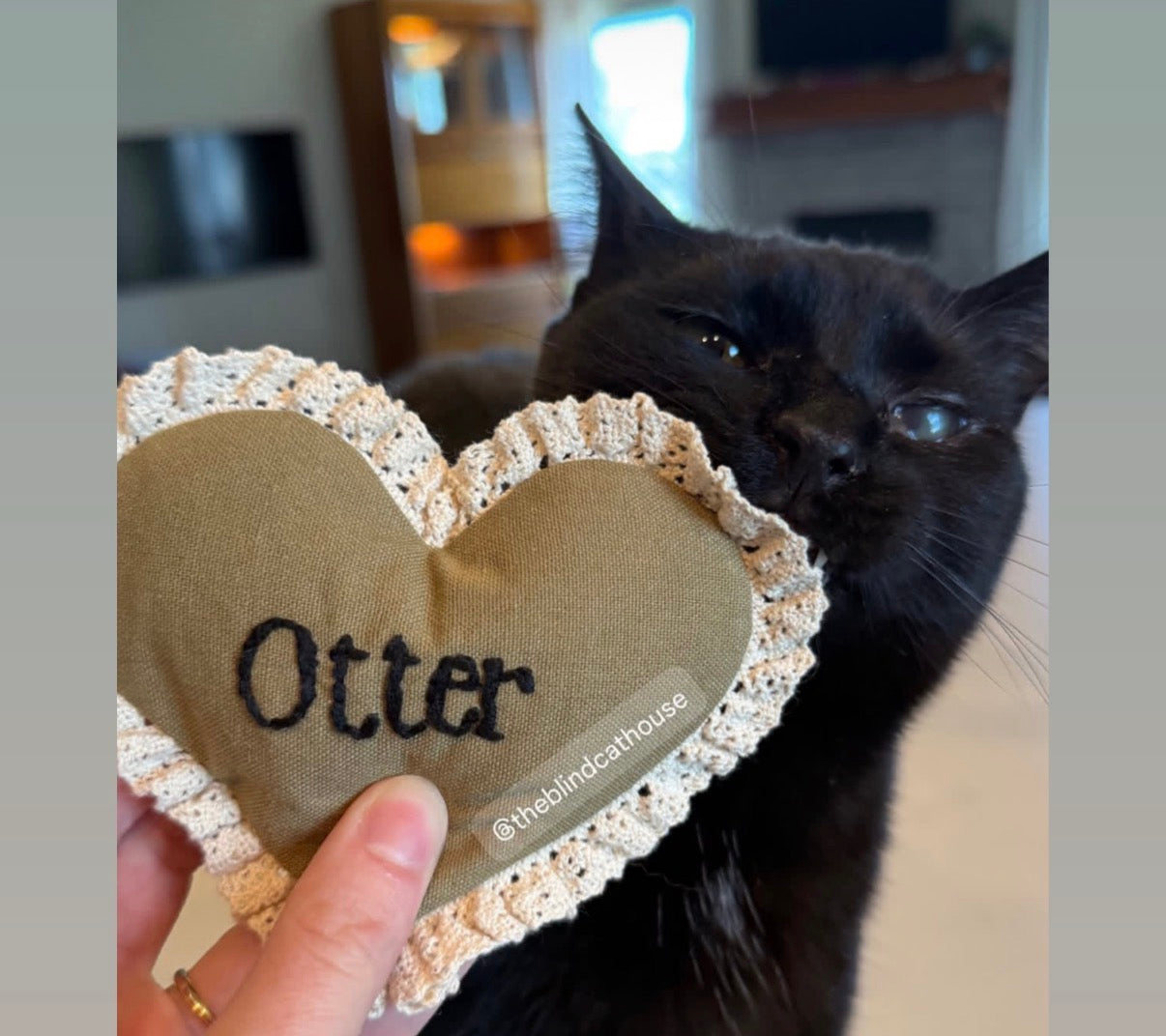 Heirloom Heart Pillow Custom Embroidery Cat Toy