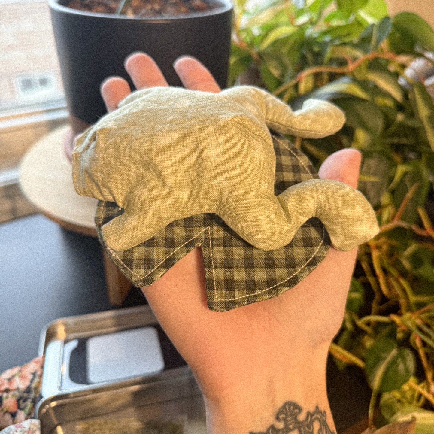 Hand holding a small green frog cat toy with light green floral pattern, sitting on a plaid green lily pad cat toy being held by a hand