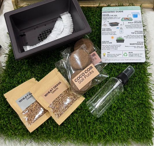 Cat Grass Grow Kit