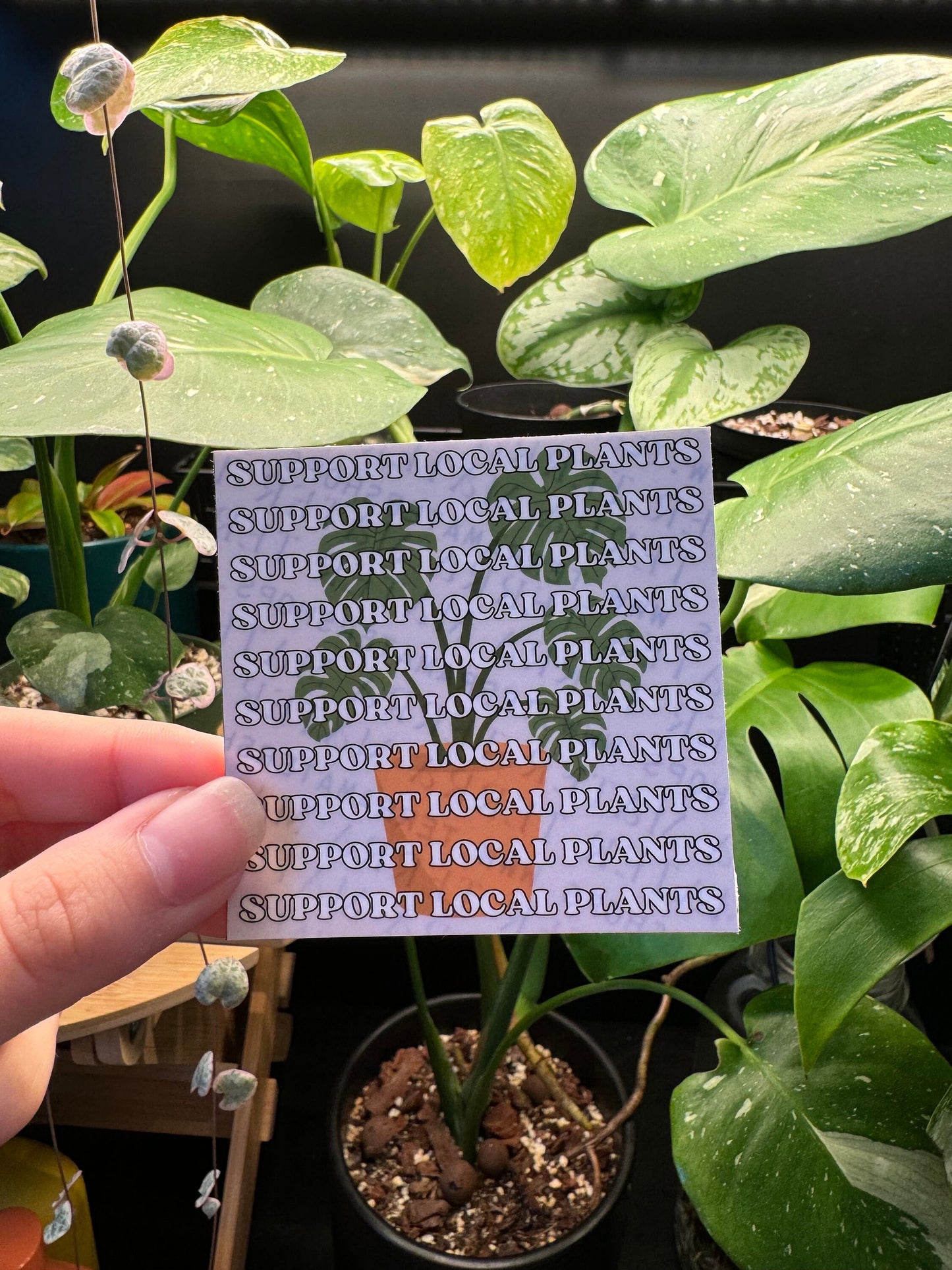 Support Local Plants Vinyl Sticker